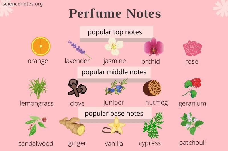 The Science Of Making Perfume