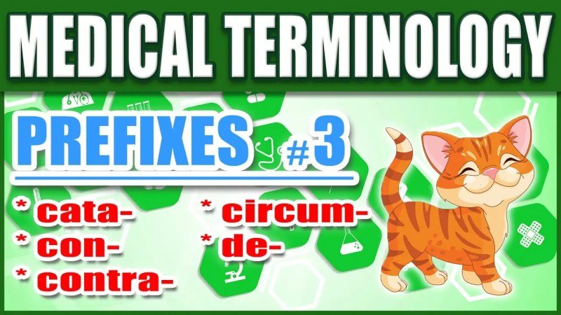 Medical Terminology A Short Course 9th Edition