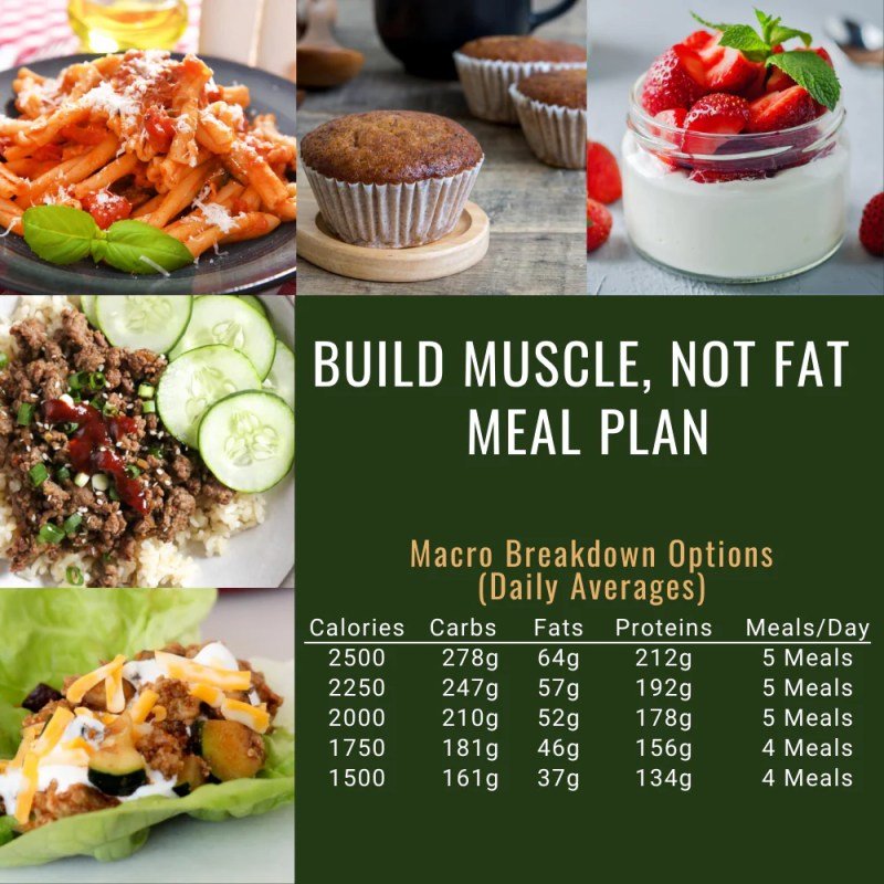 Muscle Building Diet For Women Muscle Building Diet For Women