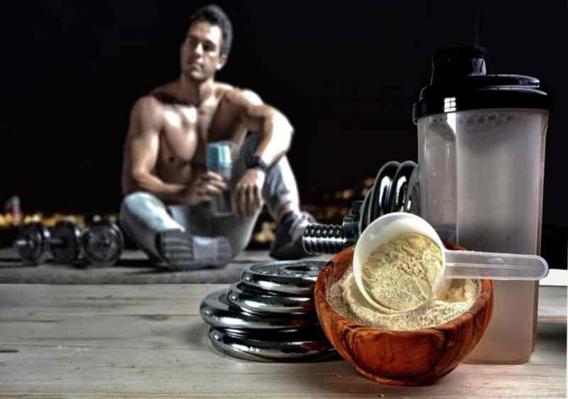 High Fiber Whey Protein Powder High Fiber Whey Protein Powder