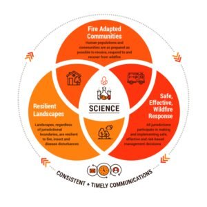 How Do We Manage Our Resources