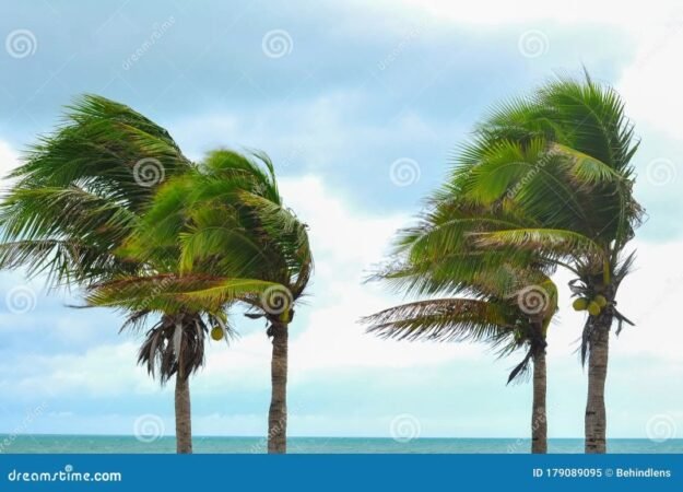Which Direction Is The Wind Blowing